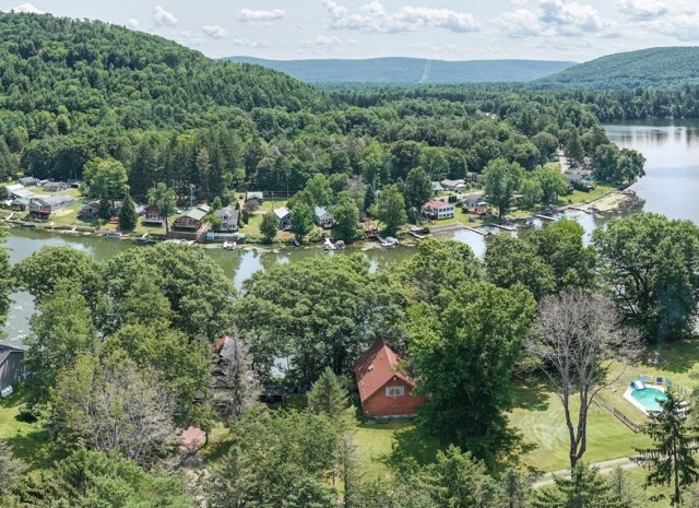138 Vito Molinari Road Oneonta, NY 13820 - Photo 4 of 38 River or Lake - Either!