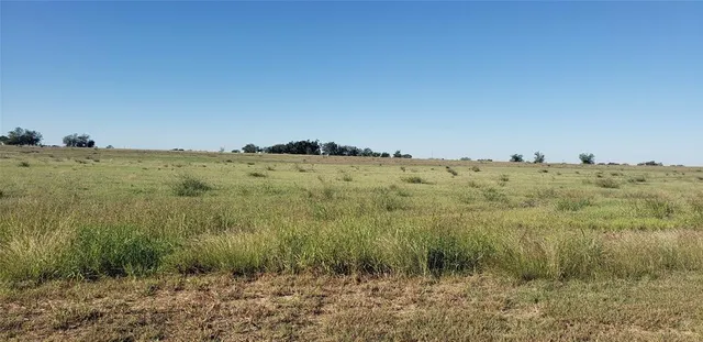a view of a dry yard with trees
