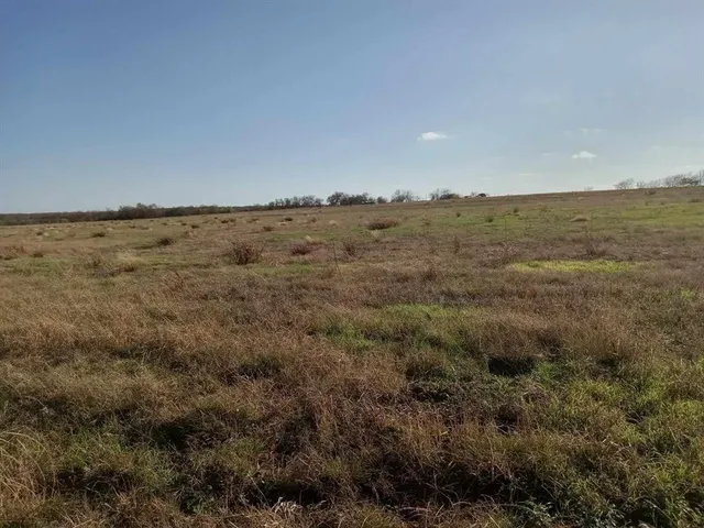 a view of a field with an ocean