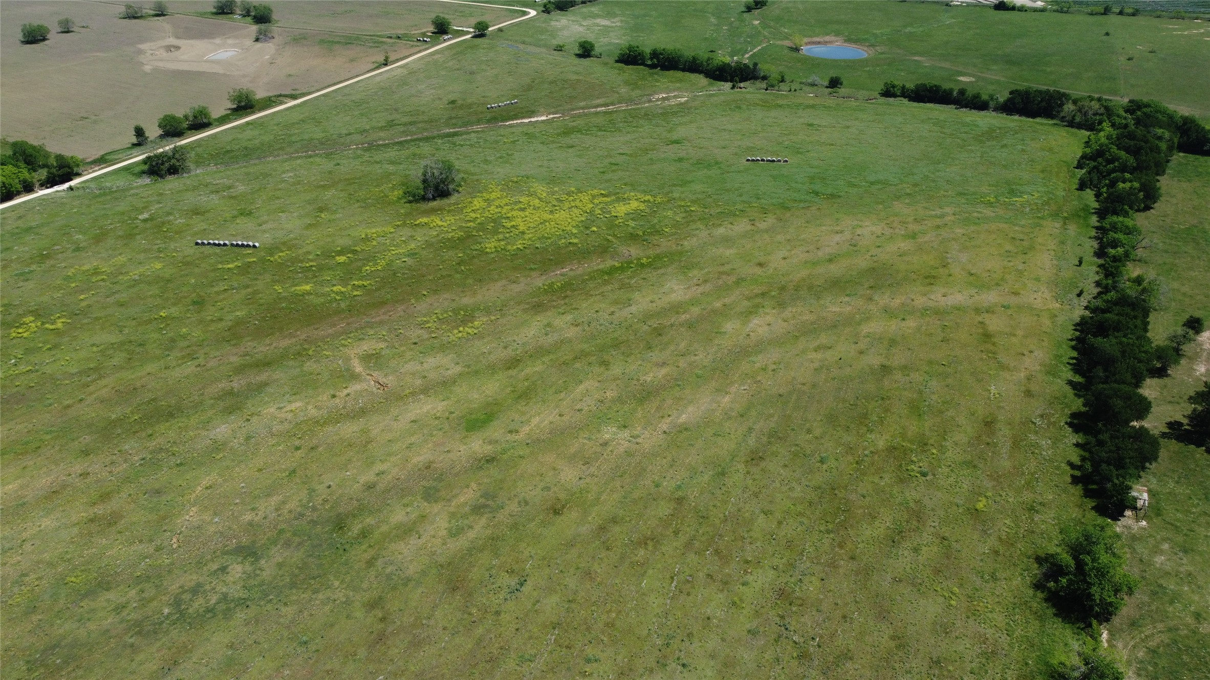 2 County Road 440 Thorndale, TX 76577 - Photo 6 of 29 a view of a big yard with green space