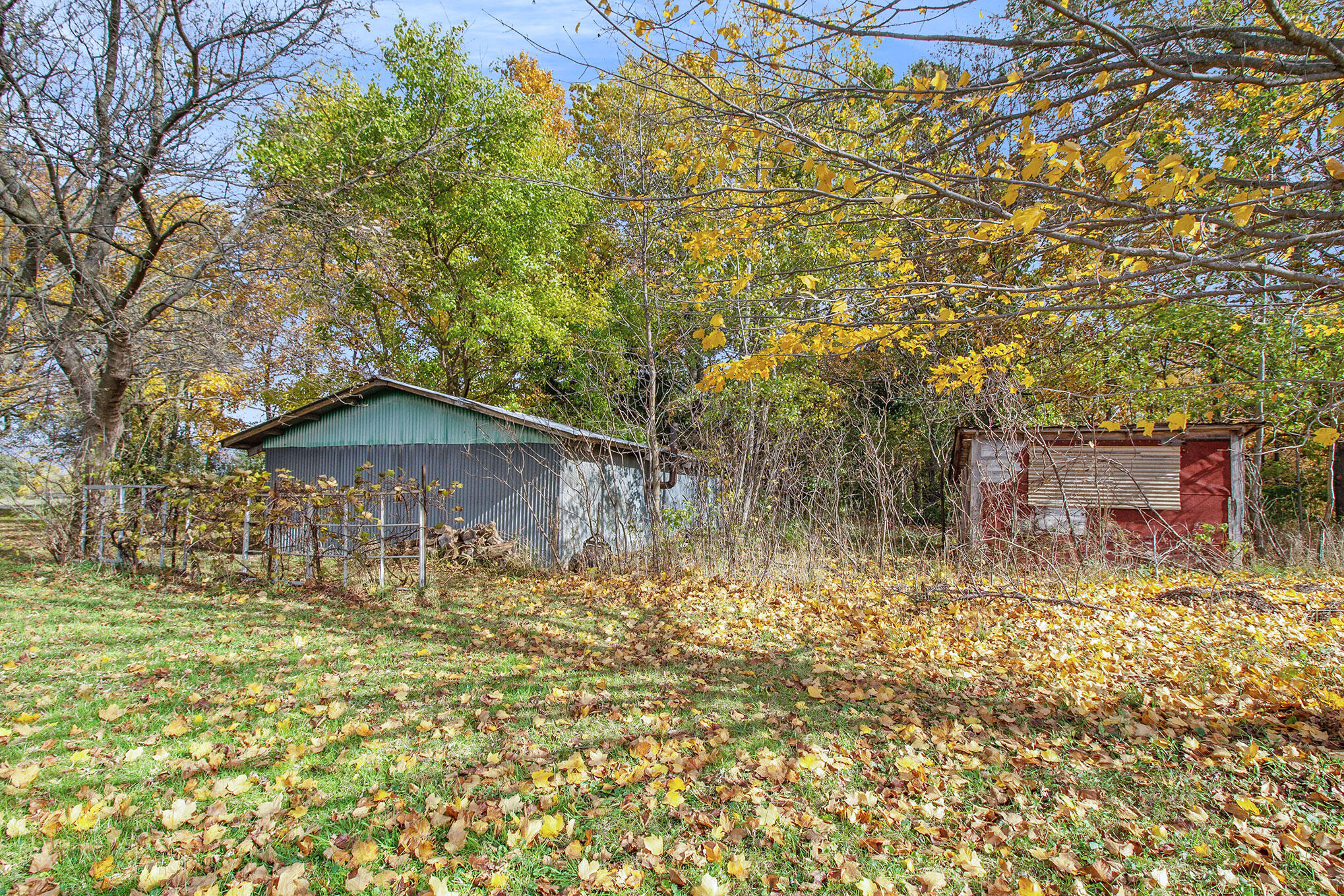 10200 Frost Road Portland, MI 48875 - Photo 52 of 57 IMG_4350