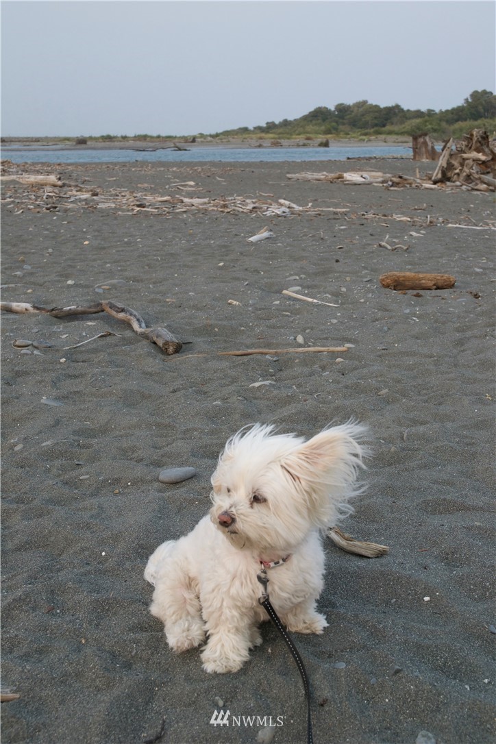1914 Elwha Dike Road Port Angeles, WA 98363 - Photo 10 of 25 Gallery Image 10