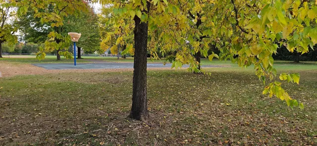 $629,900 | 14432 15th Avenue North, Plymouth, MN 55447