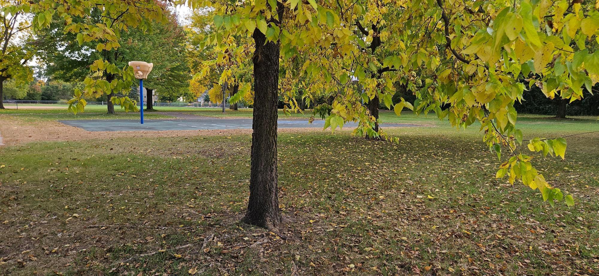 14432 15th Avenue North Minneapolis, MN 55447 - Photo 36 of 39