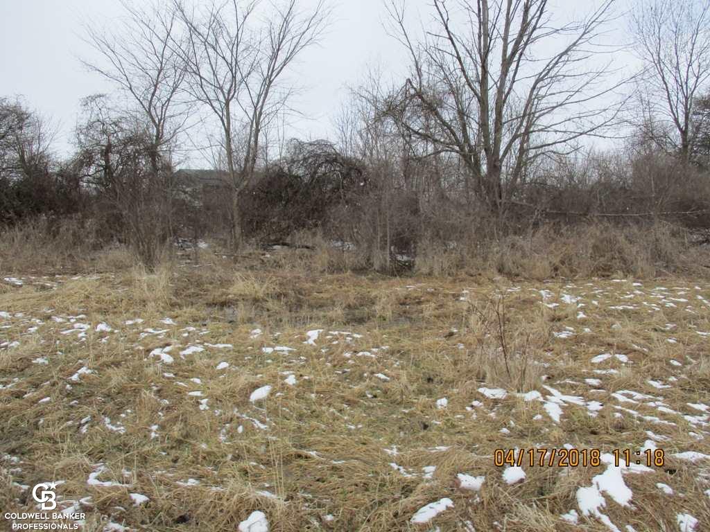 0 Arendt Road Yale, MI 48097 - Photo 8 of 11