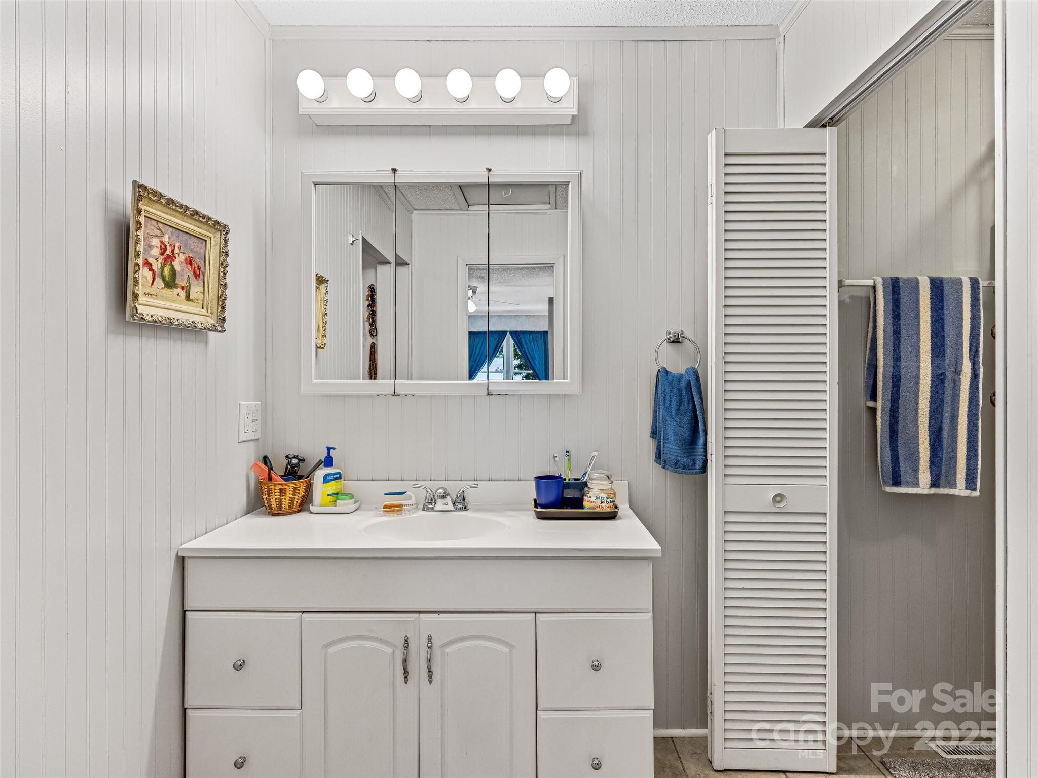 29 Tall Oaks Road Candler, NC 28715 - Photo 15 of 34 a bathroom with a sink and a mirror
