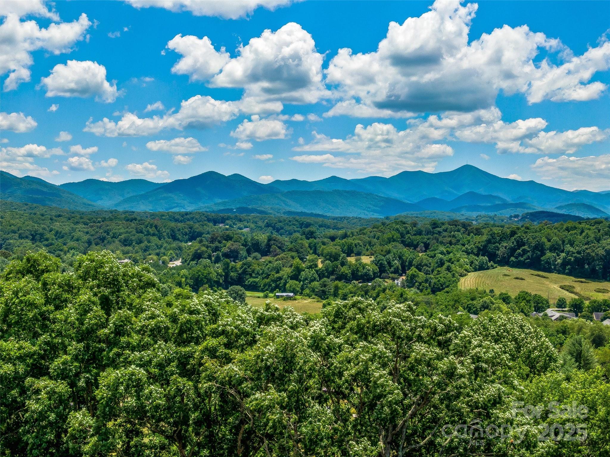 29 Tall Oaks Road Candler, NC 28715 - Photo 33 of 34 a view of a bunch of flowers in middle of the green field