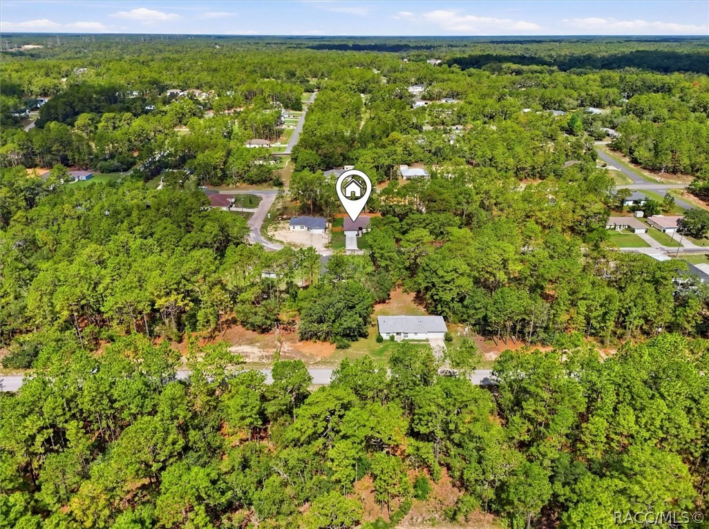 7745 North Janeaux Drive Citrus Springs, FL 34434 - Photo 48 of 53