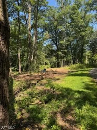 a view of a yard with plants and trees