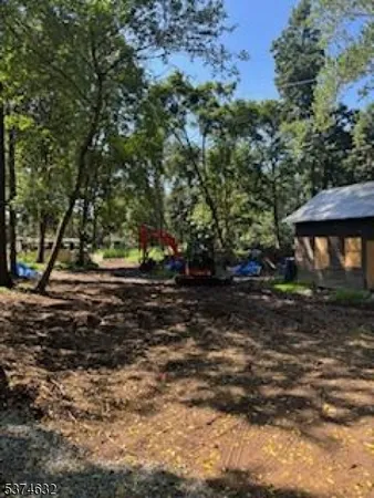 a view of a yard with plants and trees