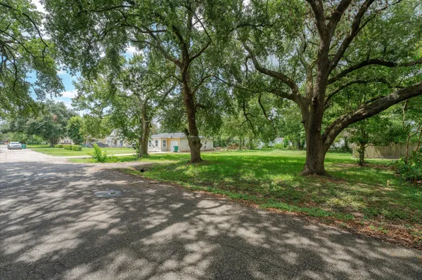 a view of a yard with tree s