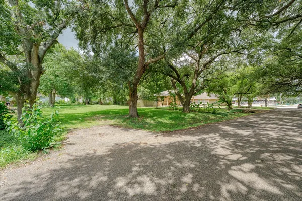 a view of a park with tree s