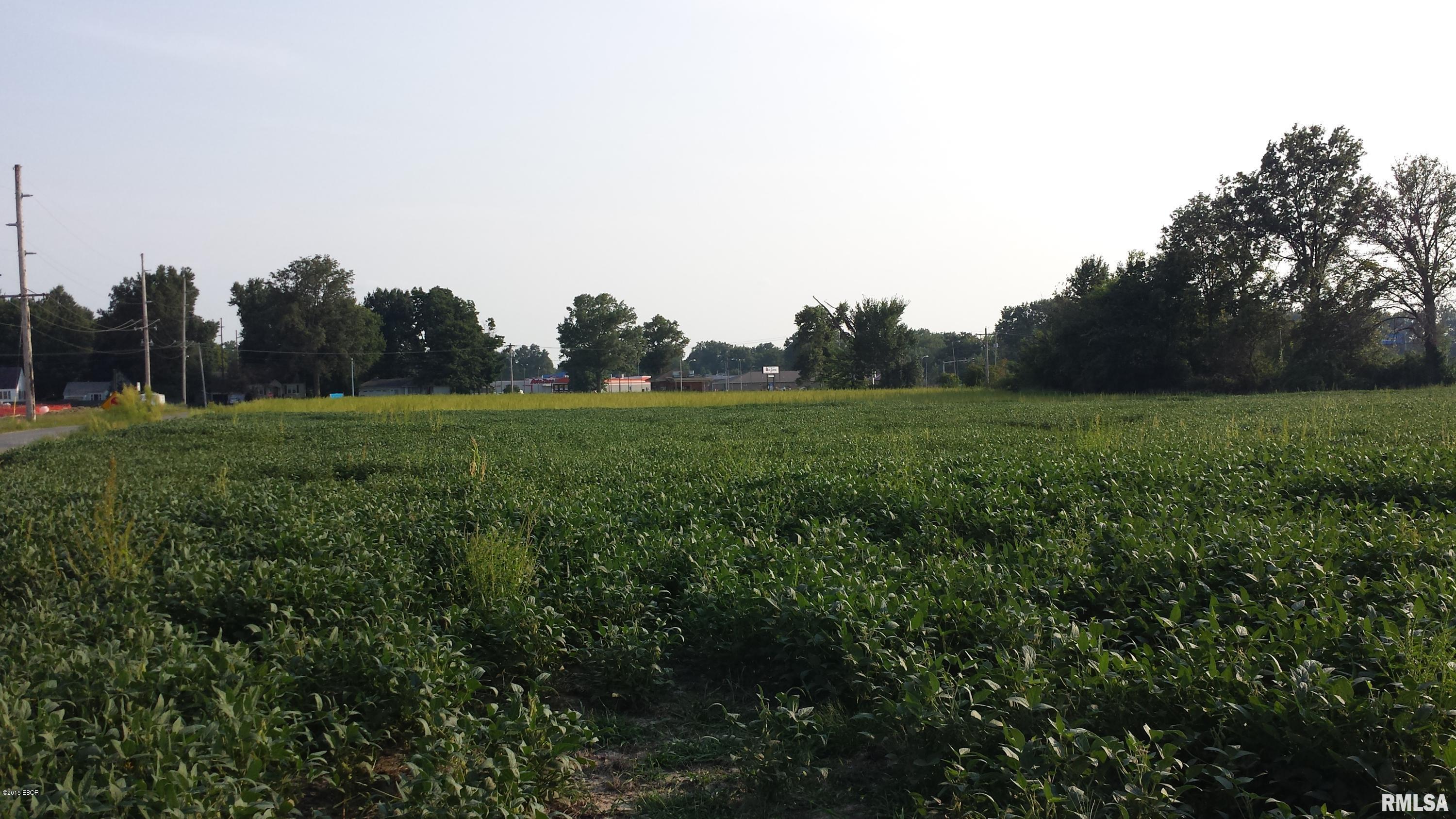 8125 Jolliff Bridge Road Centralia, IL 62801 - Photo 2 of 2