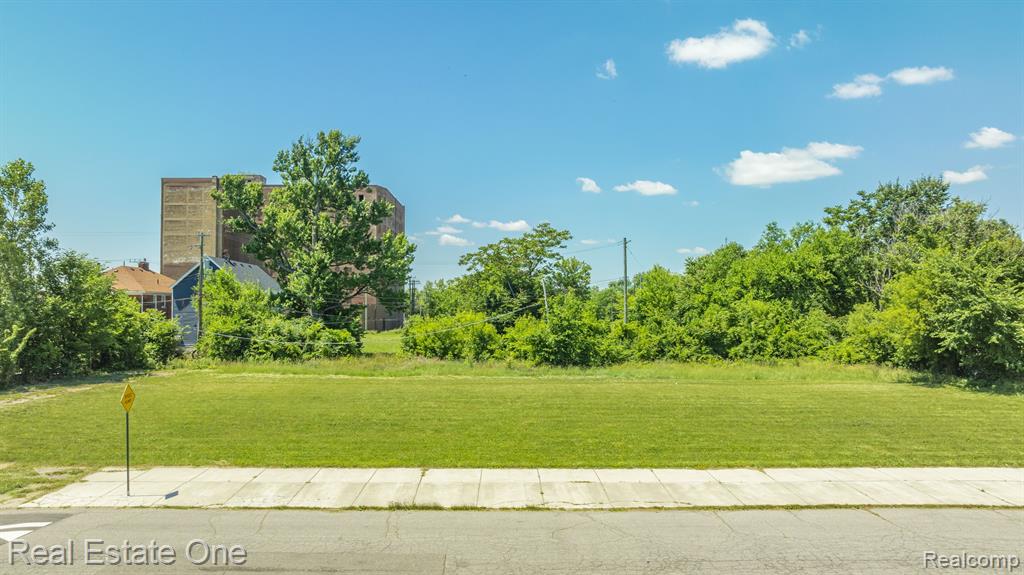 1075 Coplin Street Detroit, MI 48215 - Photo 2 of 14