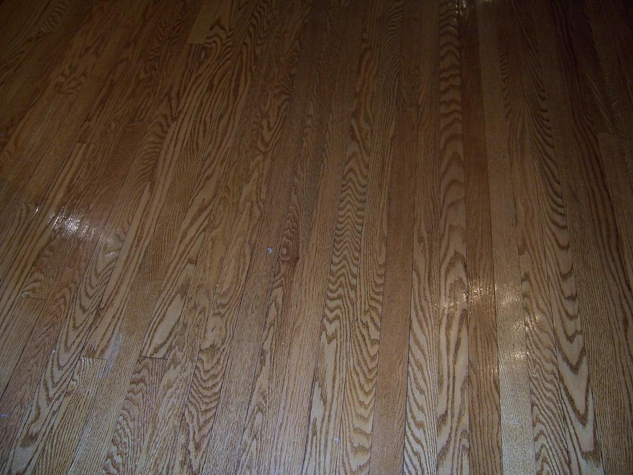 1824 Warrington Road Southwest Roanoke, VA 24015 - Photo 10 of 10 gleaming hardwood floors