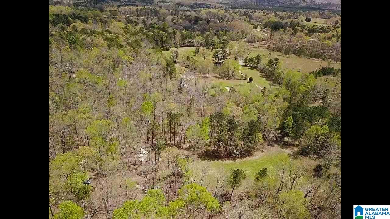 346 Hunters Lane Vandiver, AL 35176 - Photo 25 of 38