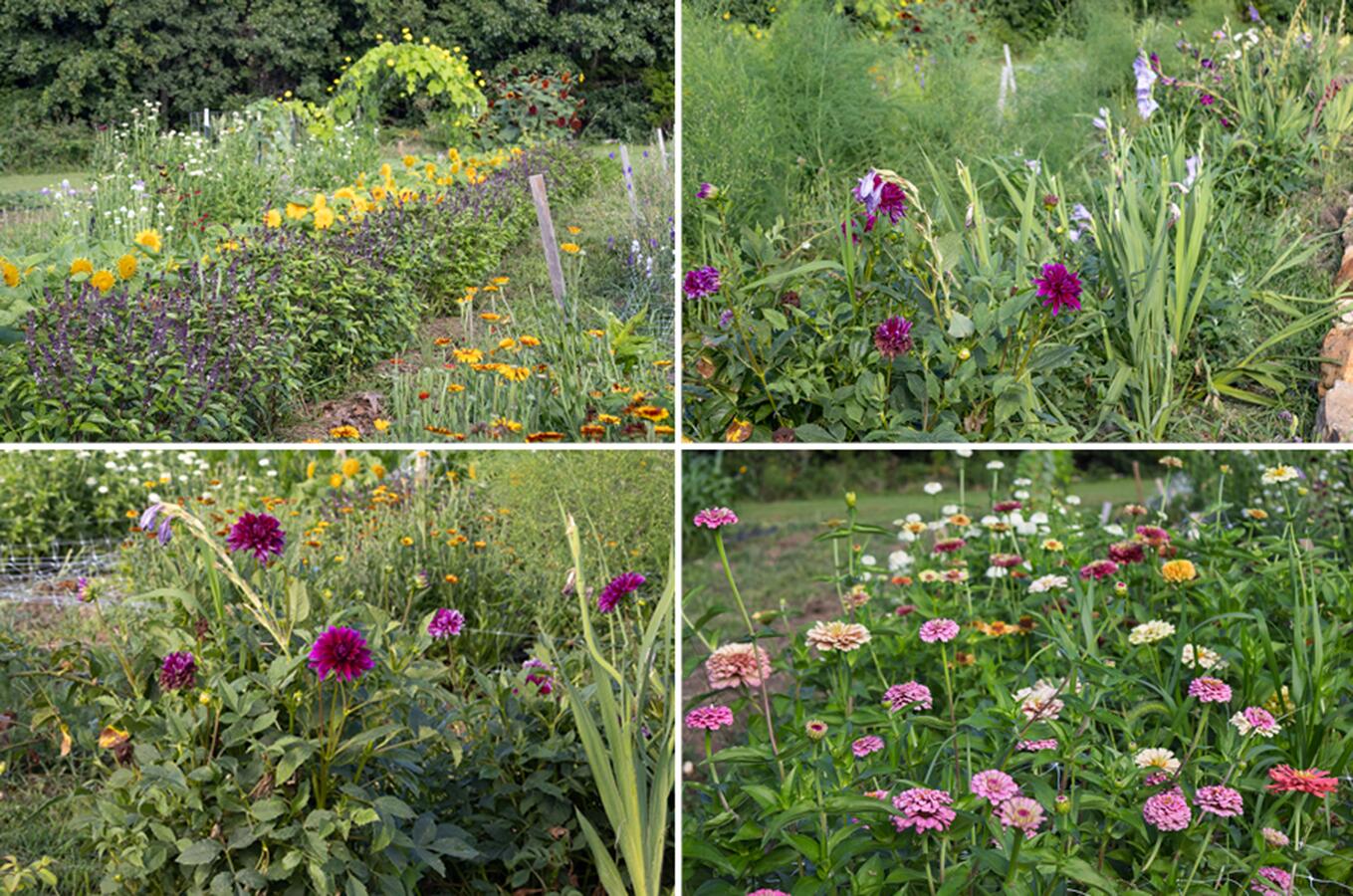 7 Route Ava, MO 65608 - Photo 85 of 111 Garden Flowers