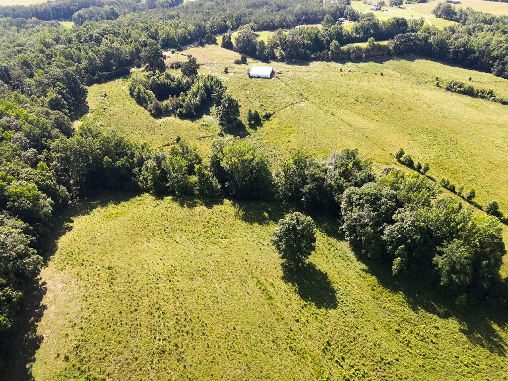 1074 McGee Road Scotts Hill, TN 38374 - Photo 15 of 37 Gallery Image 15
