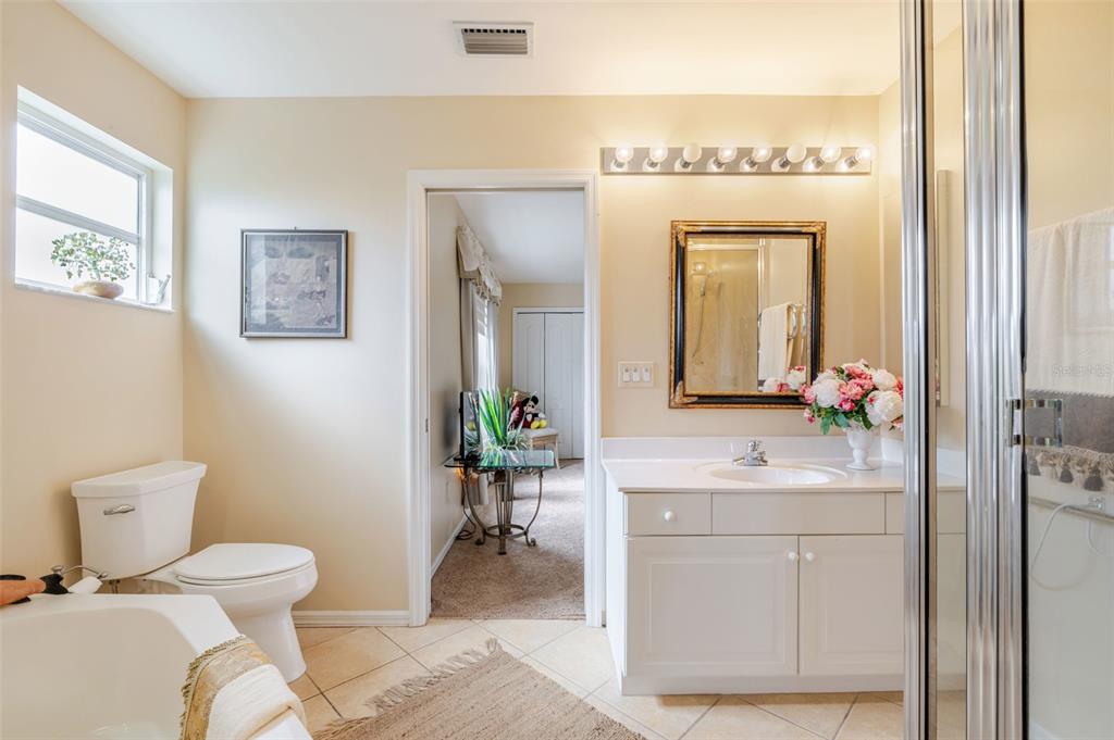 13881 Blenheim Trail Road Fort Myers, FL 33908 - Photo 55 of 82 a bathroom with a toilet a sink and mirror