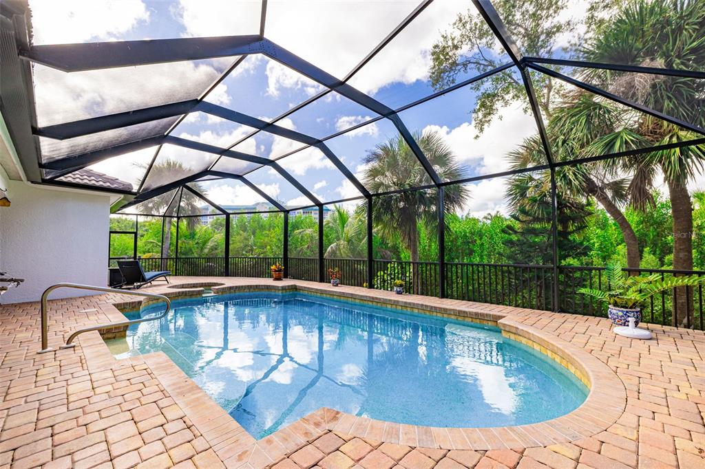 13881 Blenheim Trail Road Fort Myers, FL 33908 - Photo 61 of 82 a view of outdoor space with swimming pool