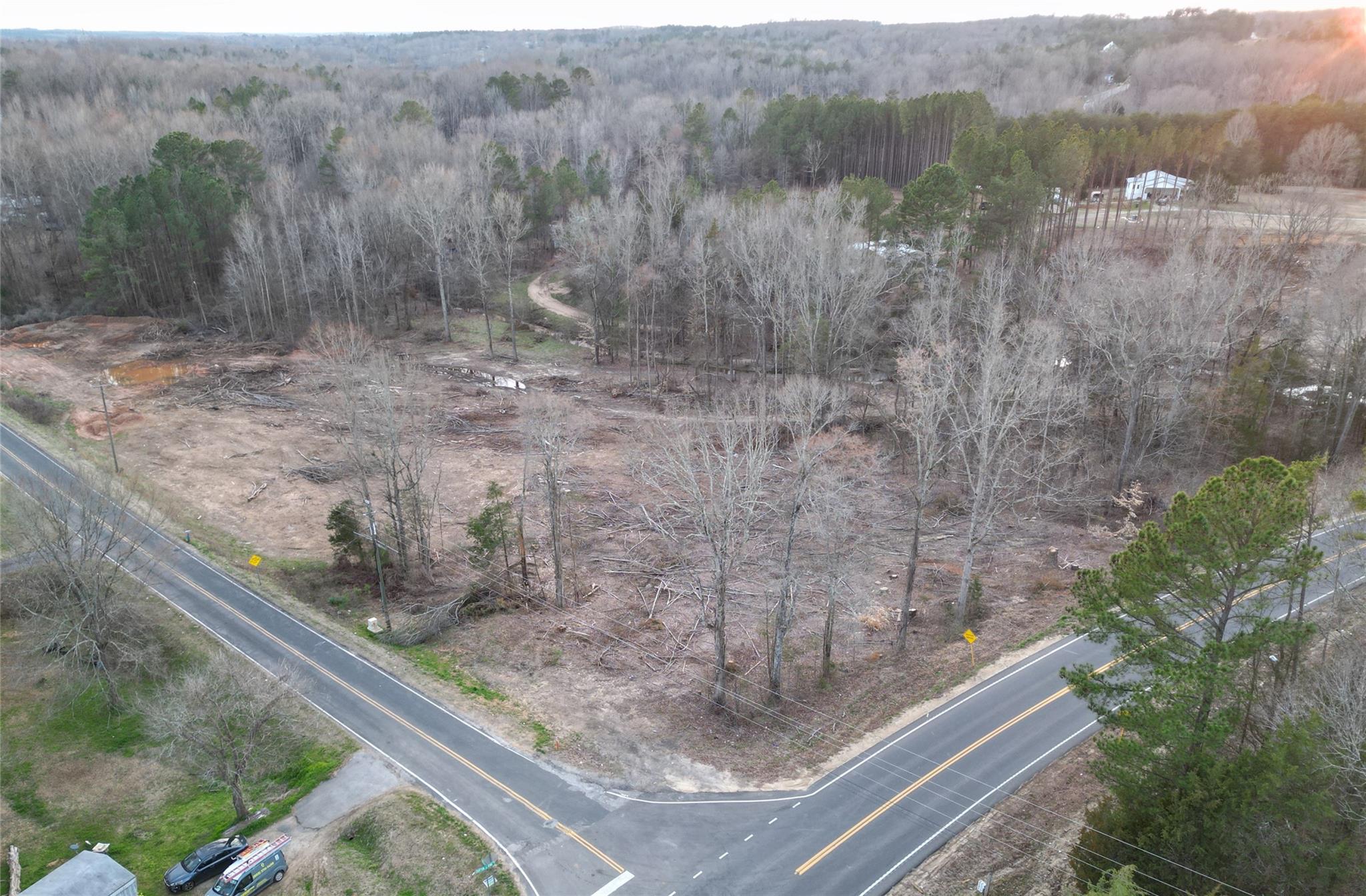 a view of a forest from a window