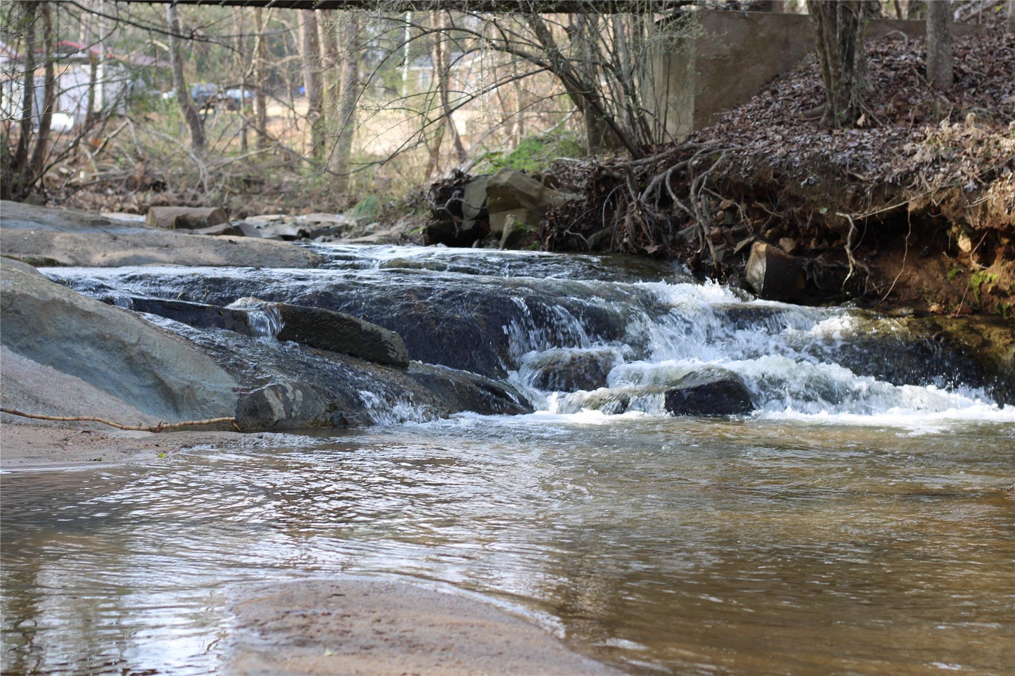360 Kelly Road York, SC 29745 - Photo 8 of 12 a view of a yard with a large tree