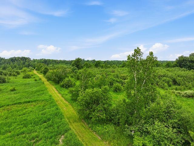 0 Holst Road Pittsville, WI 54466 - Photo 13 of 18