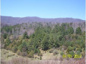 Lot 11 Pine Orchard Road Butler, TN 37640 - Photo 1 of 5 Photo 1