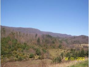 Lot 11 Pine Orchard Road Butler, TN 37640 - Photo 2 of 5 Photo 2