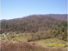 Lot 11 Pine Orchard Road Butler, TN 37640 - Photo 3 of 5 Photo 3