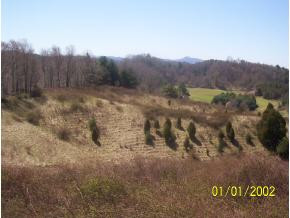 Lot 11 Pine Orchard Road Butler, TN 37640 - Photo 4 of 5 Photo 4