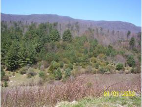 Lot 11 Pine Orchard Road Butler, TN 37640 - Photo 5 of 5 Photo 5
