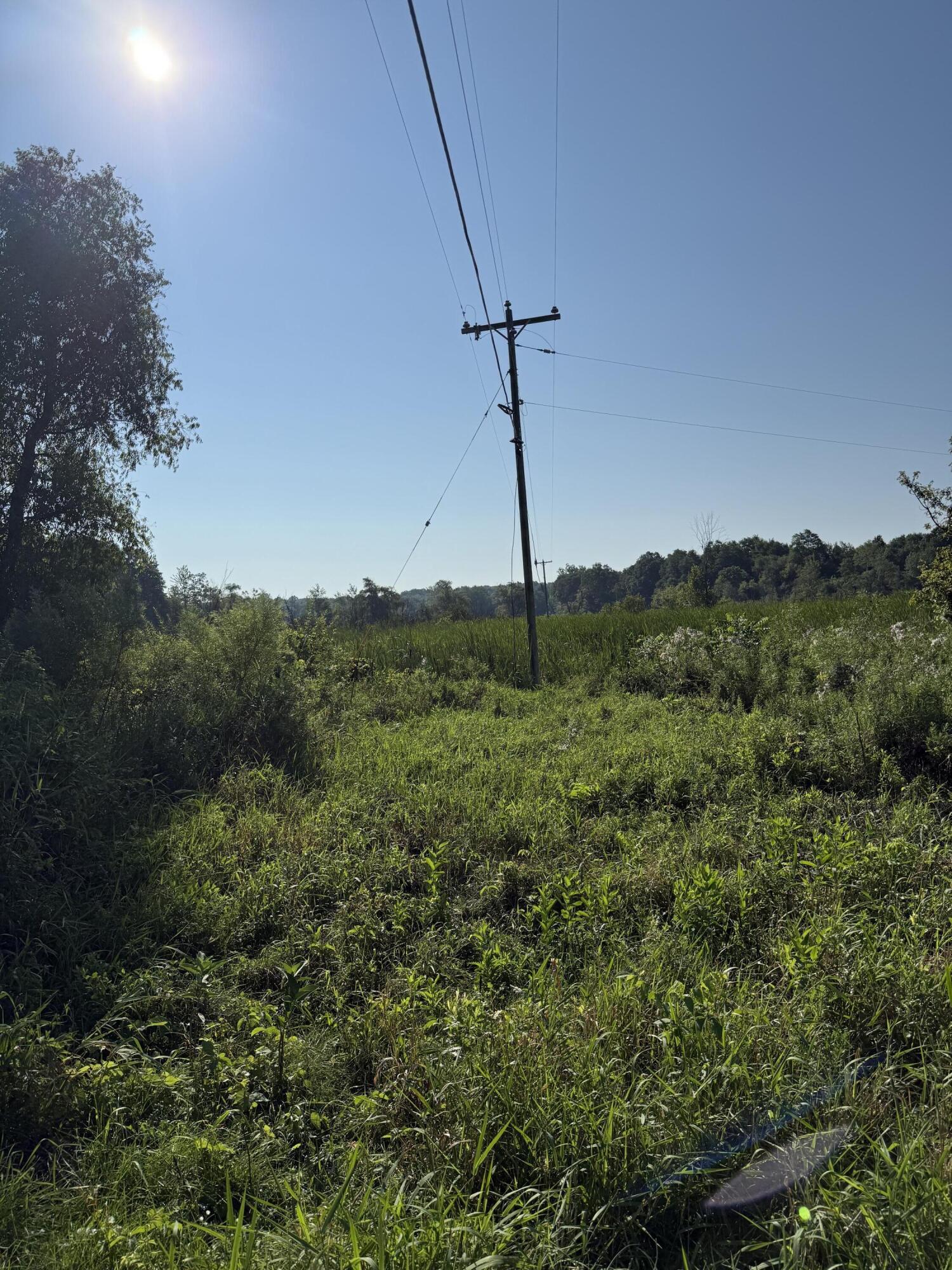 731 Sears Road Concord, MI 49237 - Photo 2 of 5 IMG_5905