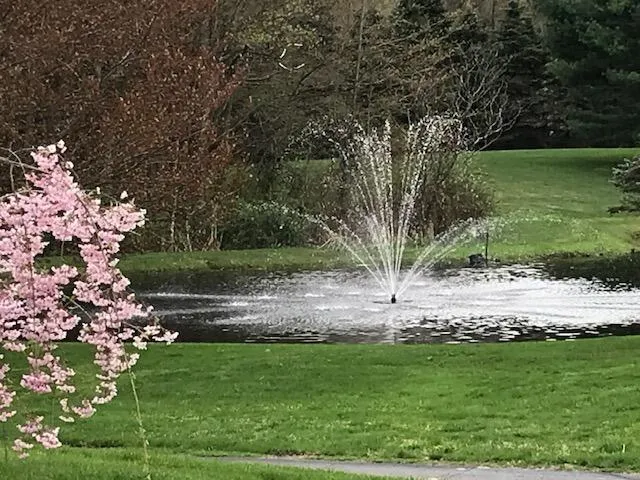 $850,000 | 1532 34th Street, Allegan, MI 49010