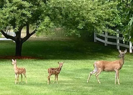 $850,000 | 1532 34th Street, Allegan, MI 49010