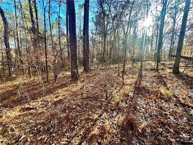 $15,000 | Tbd Howard Road, Robeline, LA 71469