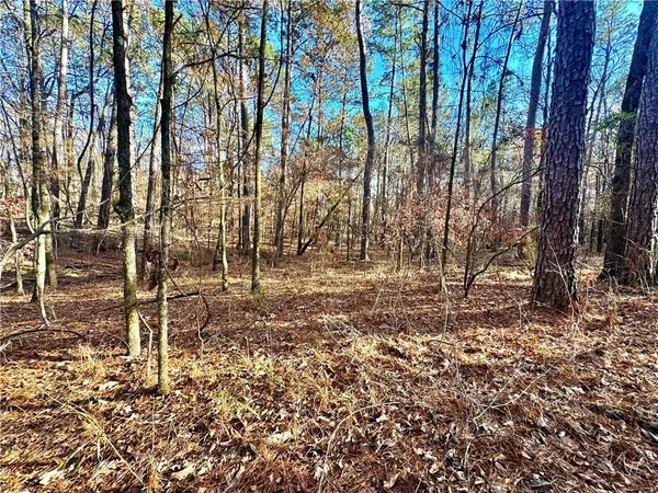 $15,000 | Tbd Howard Road, Robeline, LA 71469