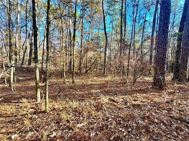 $15,000 | Tbd Howard Road, Robeline, LA 71469