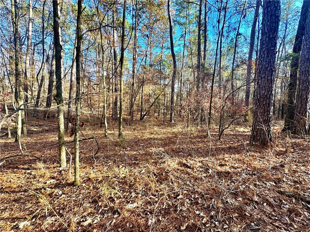 Tbd Howard Road Robeline, LA 71469 - Photo 3 of 11