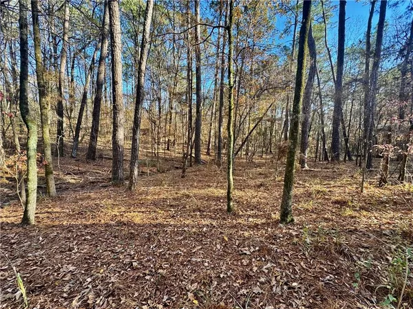 $15,000 | Tbd Howard Road, Robeline, LA 71469