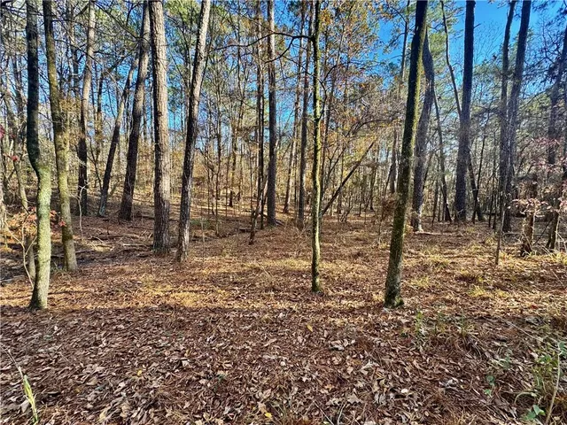 $15,000 | Tbd Howard Road, Robeline, LA 71469