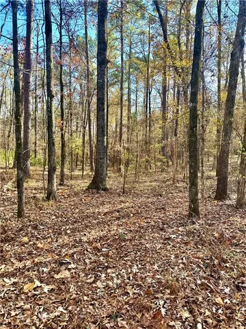 $15,000 | Tbd Howard Road, Robeline, LA 71469