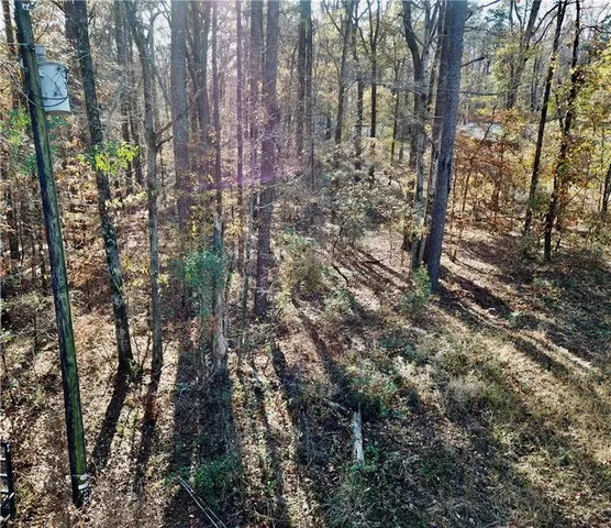 $15,000 | Tbd Howard Road, Robeline, LA 71469