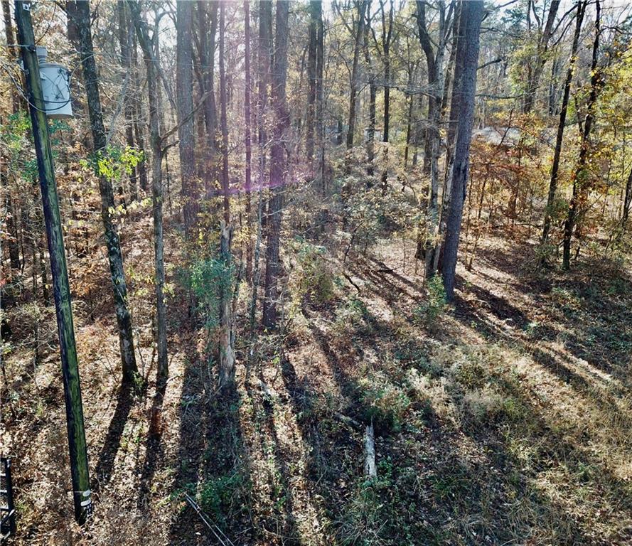 Tbd Howard Road Robeline, LA 71469 - Photo 7 of 11