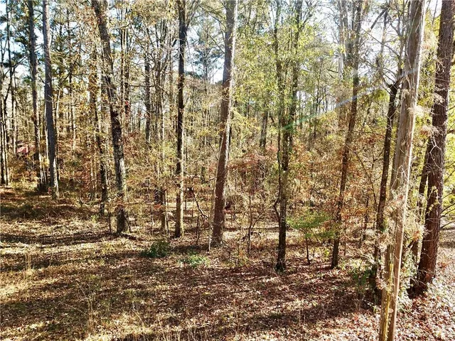 $15,000 | Tbd Howard Road, Robeline, LA 71469