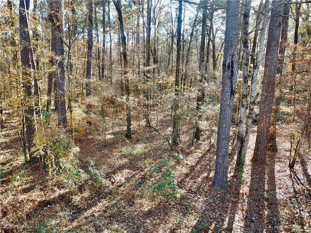 Tbd Howard Road Robeline, LA 71469 - Photo 9 of 11