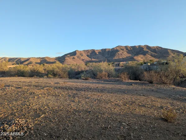 a view of a dry yard with mountain