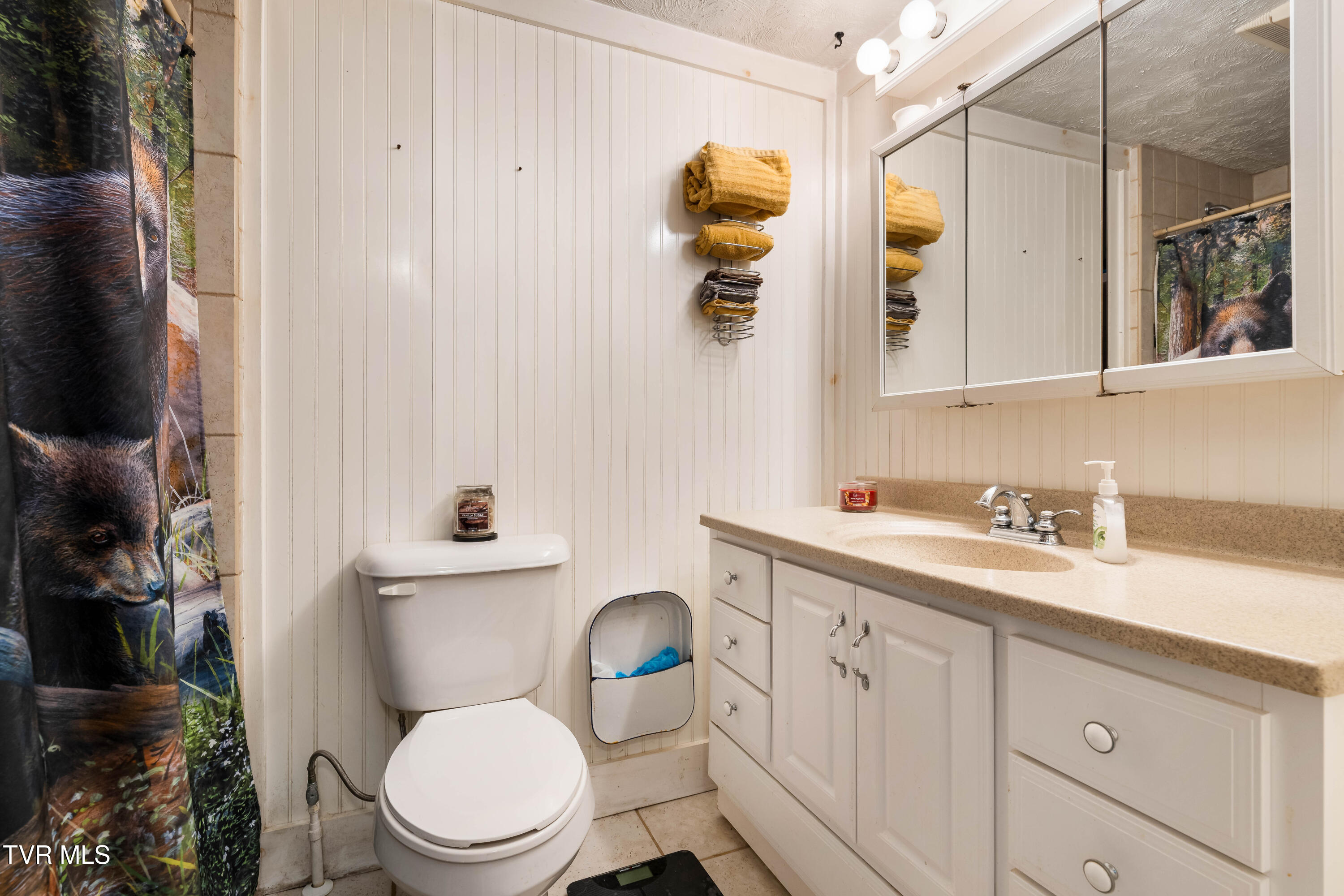 2121 Shingletown Road Mountain City, TN 37683 - Photo 24 of 68 2121 Shingletown Road (45 of 56)