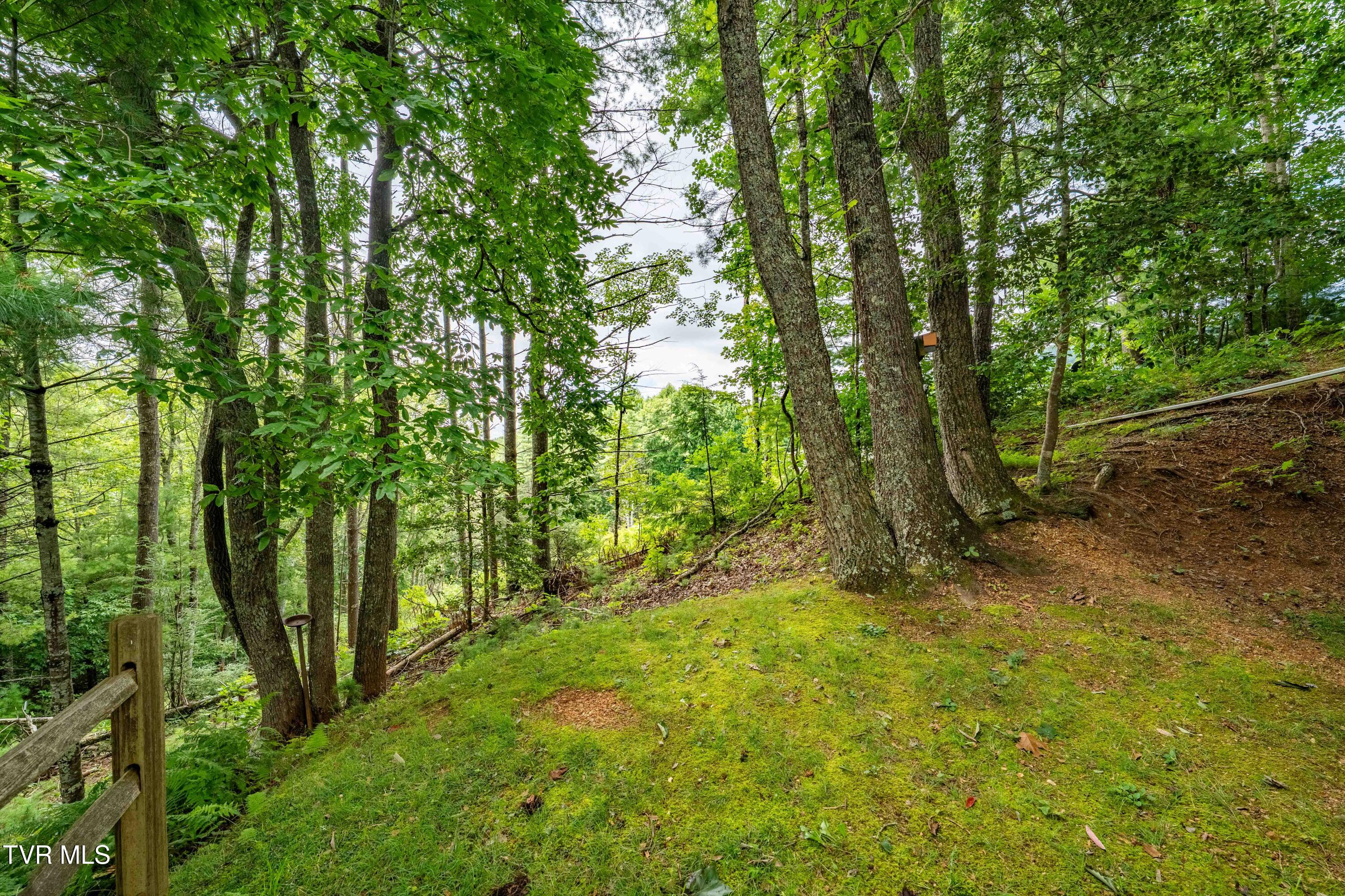 2121 Shingletown Road Mountain City, TN 37683 - Photo 49 of 68 2121 Shingletown Road (31 of 56)