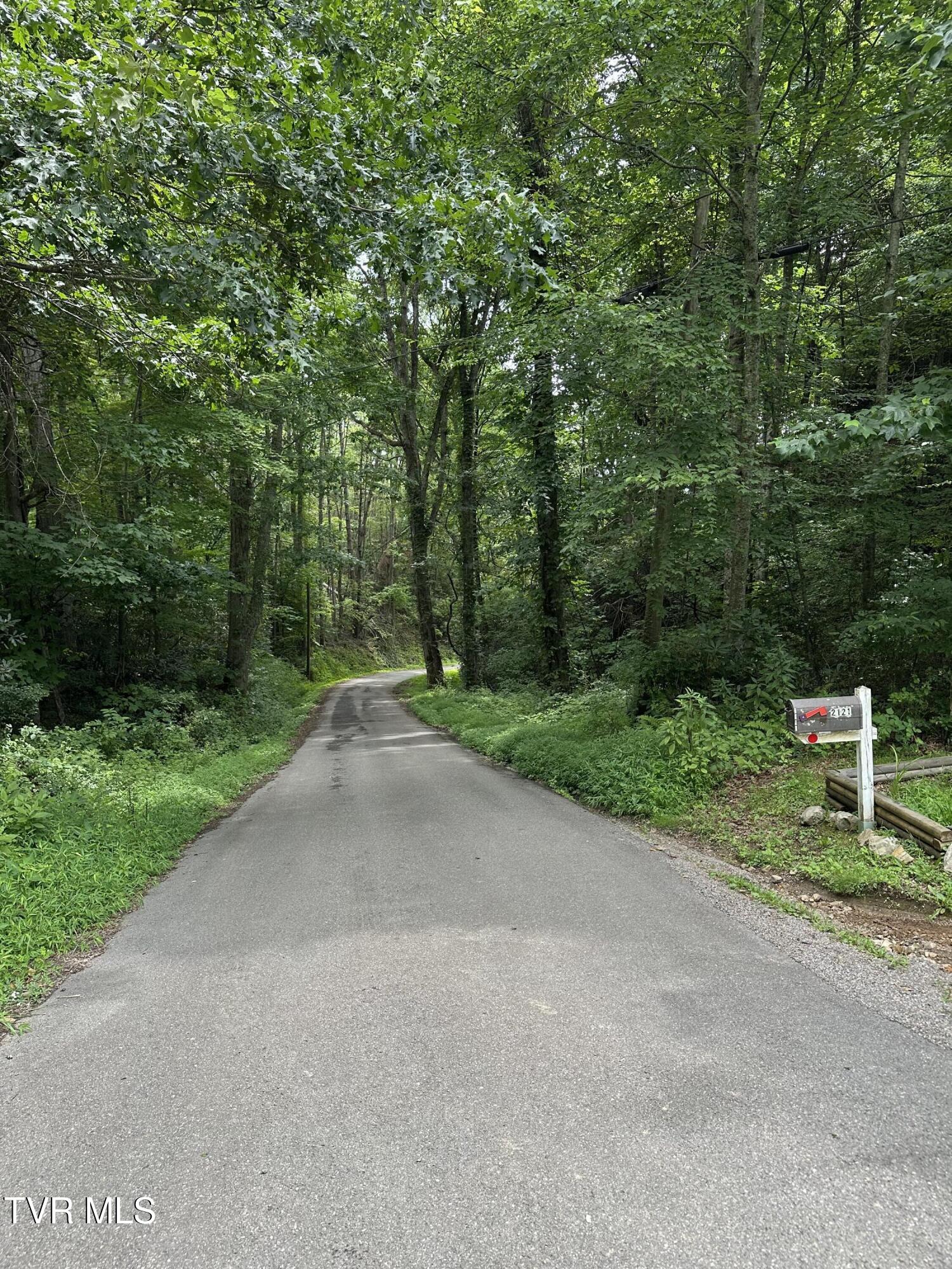 2121 Shingletown Road Mountain City, TN 37683 - Photo 64 of 68 IMG_5273